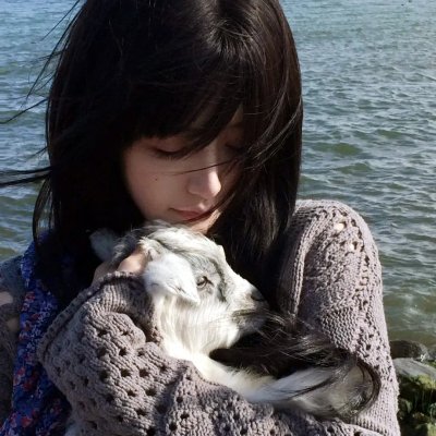 狗狗史酷比
